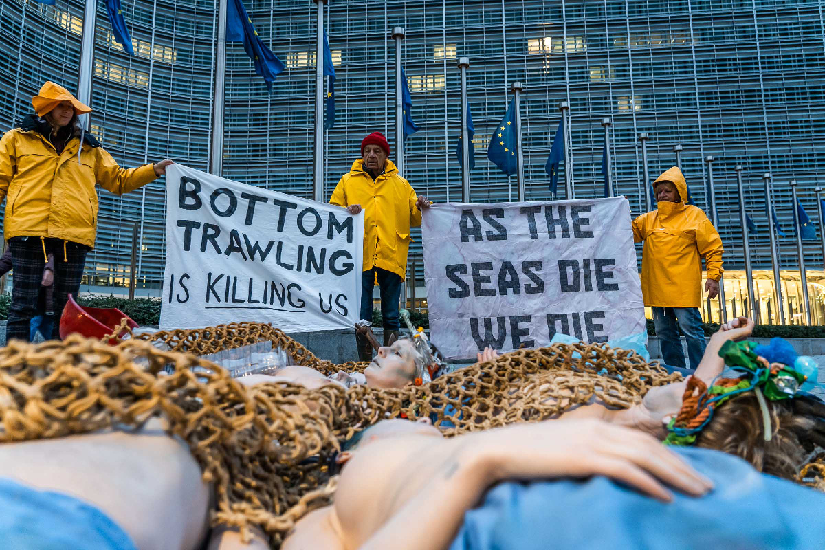 end overfishing end bottom trawling - ronja-bossen-dsc07330