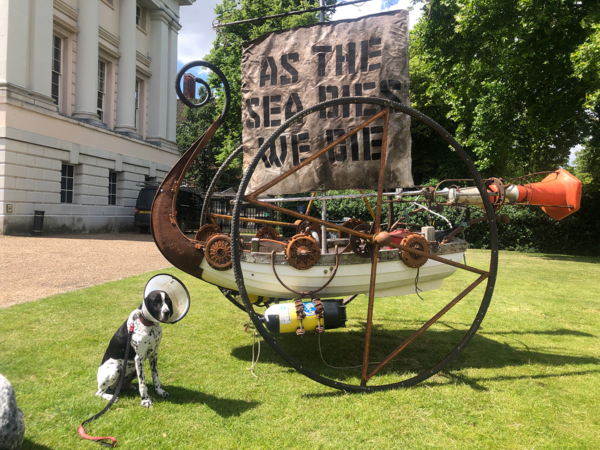 ocean day at the national maritime museum - dog
